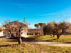 Le Terre D'Abruzzo, Alanno